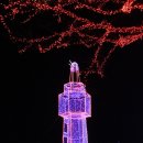 돌산공원 이미지