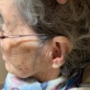 시그니아독일보청기 노원센터 이미지