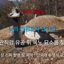 묘목로 이미지