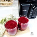 고속 | ABC주스 만들기 비율 대용량 보관 자일렉 고속믹서기 후기