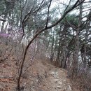 돌샘약수터 이미지