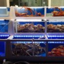 해양회대게센타 이미지