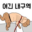 강아지공작소 이미지