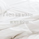 비피113