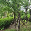 감산1교차로(감산3거리) 3 이미지