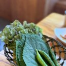 황박사부대찌개 | 🍲 박박사 부대찌개 &amp; 짜글이 청주 강내맛집 후기