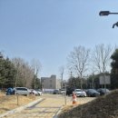 반려동물놀이터 | 일산 강아지 놀이터 추천🐶 무료 반려동물공원 다녀온 후기