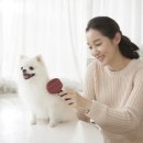 행복한산책 동물병원 이미지