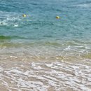 거진11리해변 이미지