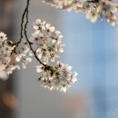 법륜유치원 이미지