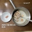 쌤소ATSISNC불광 | [공지] 카니보어 100일 기념 식단에 대한 깨달음 대방출