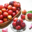 호준농장2 이미지