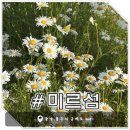 캠프종합정비센타앞자판기 | [공주 여행] 마미와 1박 2일 알차게 즐긴 뚜벅이 코스 - 1일차