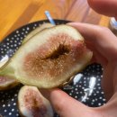 영오농장 이미지