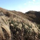 청소면사무소 이미지