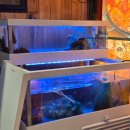 비전동 소로 3-96 | [서울/강남] 강남역 숙성회 다양하게 맛볼 수 있는 '회판장 강남점' 🐟