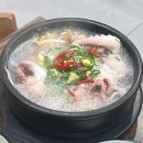 에스엠네츄럴 | [잠실 꽃낙지] 맛있게 매운 산낙지볶음 원기회복 메뉴 추천 소문난 맛집 꽃낙지