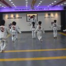 용인대 국가대표 태권도 이미지