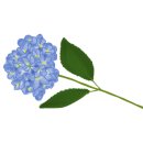 강릉족보집