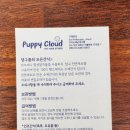 강아지 수제간식 케이크 원데이클래스