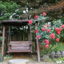 남이섬 하늘사랑 이미지