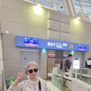 미국 워싱턴주에 있는 시애틀여행 (레이니어 국립공원) 트레킹1편 이미지