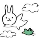 메종드바이올린 네이버블로그