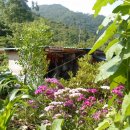 전원모텔 이미지