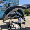 통구미 거북바위 공중화장실 | 거제씨월드 아이와 가볼만한 곳 돌고래체험 후기