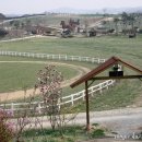 태인목장 이미지