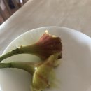 만물백화점 정관 이미지