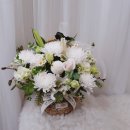 신내동-023 이미지