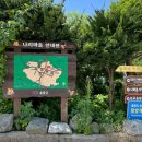 나리 신령수 | 울릉도 나리분지 신령수 가서 좋은 기윤 받고 왔습니다. (울릉도 여행 코스, 울릉도 가볼만한곳)