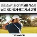 골프초보도 OK! 지보드에스로 쉽고 재미있는 골프자세교정