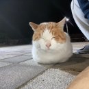 운곡 연거