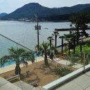 씨야드/seayard