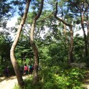 웃음잔치 이미지