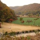 밤별캠핑장 이미지