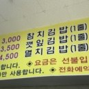 티나정