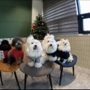 개버드 스쿨 이미지