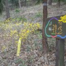 장군산(오리알) 약수터 네이버블로그