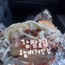 송탄-259V | 평택 송탄 3대 버거 미군부대 맛집 <미스진햄버거 송탄본점> 내돈내산 국제시장 솔직후기