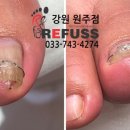 레푸스원주점