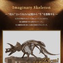 트리케라톱스-2 이미지