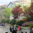 520 이미지