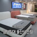 삼산 | 울산침대 가성비좋은곳! 금성침대 울산삼산점 방문후기