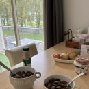 안시농장 | 평화로운 프랑스 안시