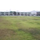 삼화초등학교 이미지