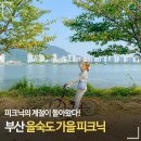 하단동1142 이미지