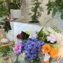 방배로 115 이미지